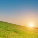 traktorki do koszenia