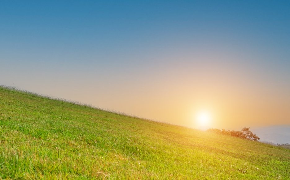 traktorki do koszenia